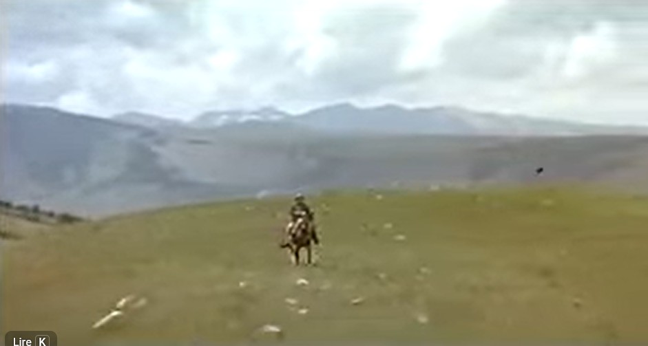 Compréhension audiovisuelle : Film "l'Homme qui murmurait à l'Oreille des Chevaux" de Robert Redford.