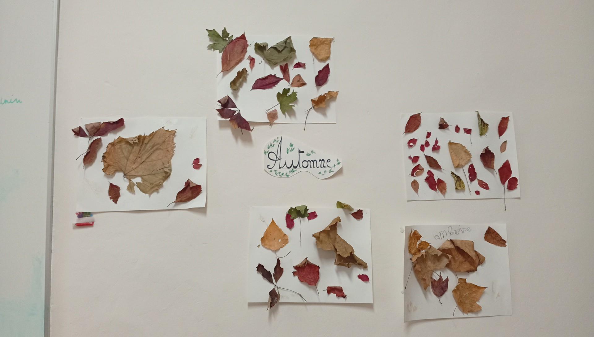 Feuilles d'automne