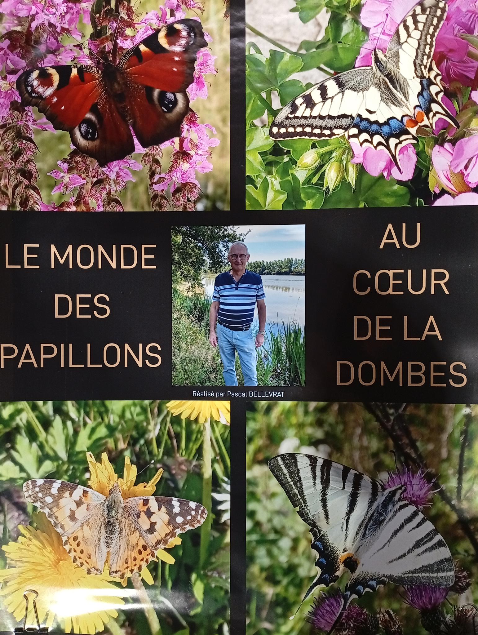 Visite de l'Exposition photos le Monde des papillons au coeur de la Dombes